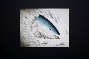 Tuna busting 11x14"